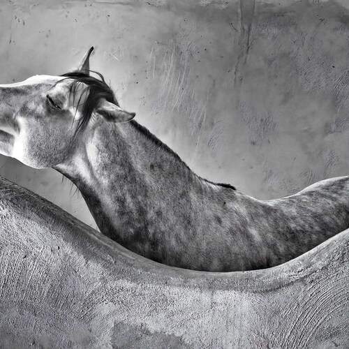 Photo #12987976