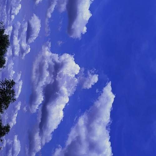 Photo #12988092