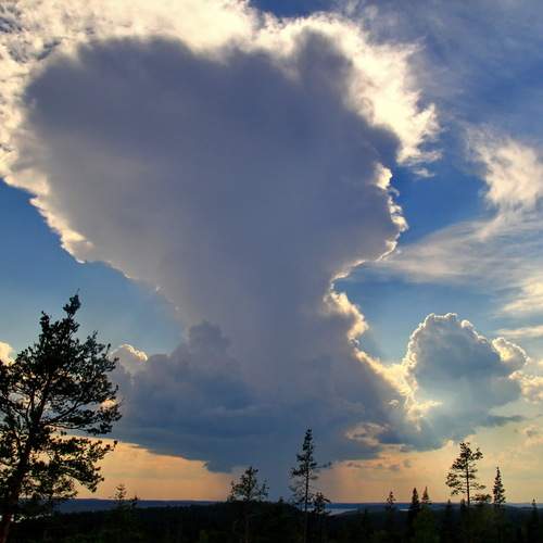 Photo #12988113