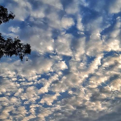 Photo #12988165