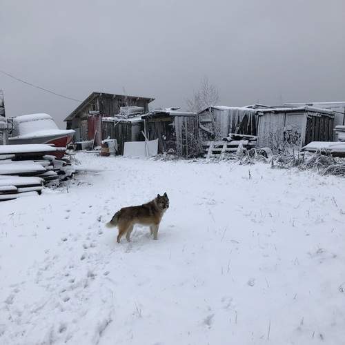 Photo #12988191