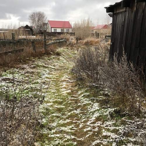 Photo #12988193