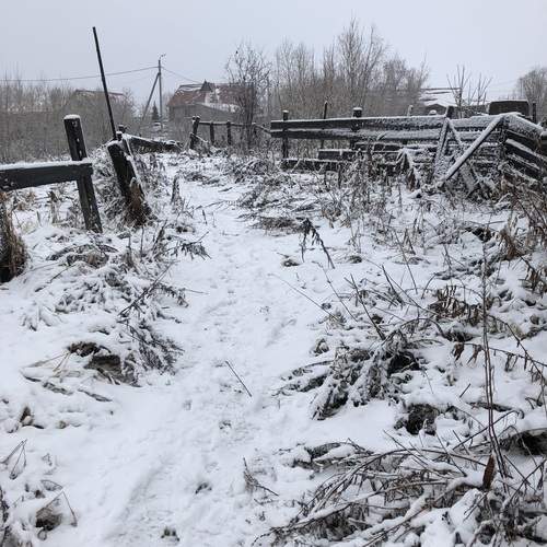 Photo #12988195