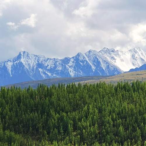 Photo #12988294