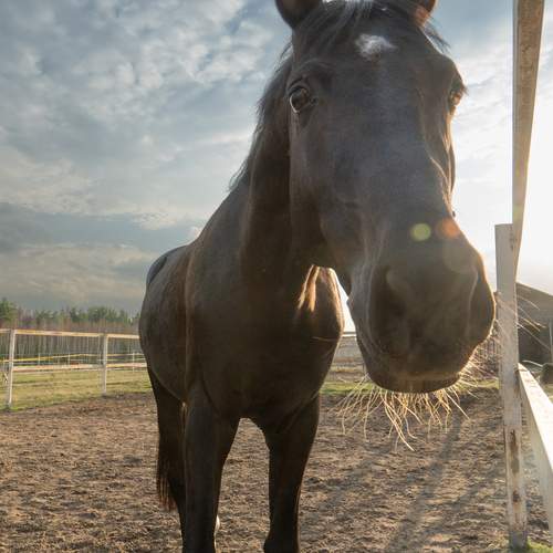 Photo #12988322