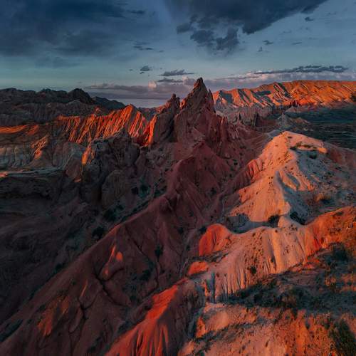Анастасия Сауль