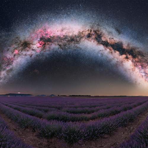 Фотография #12988606