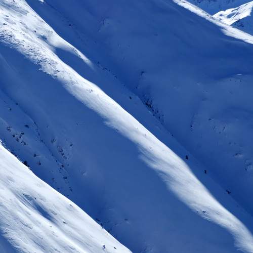 Photo #12988718