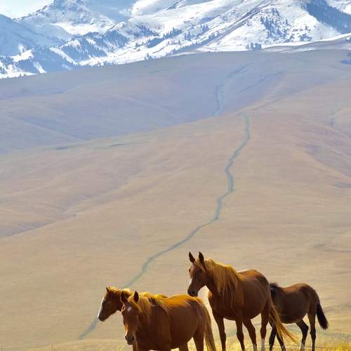 Photo #12988729
