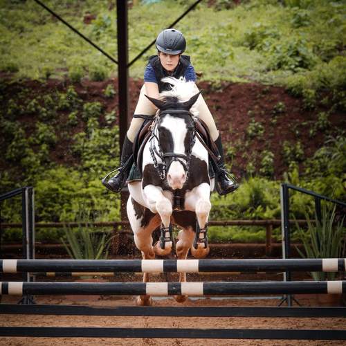 Photo #12988868
