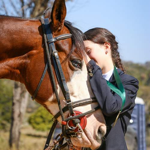 Photo #12988869