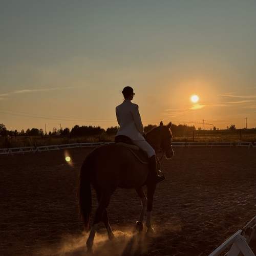Photo #12988967