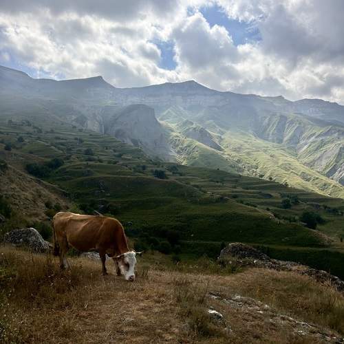 Photo #12989013