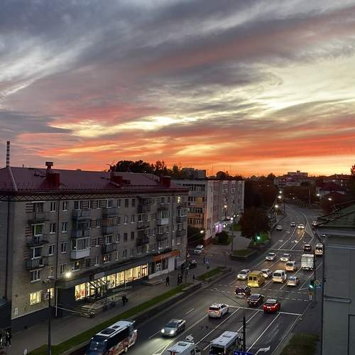 Photo #12989120