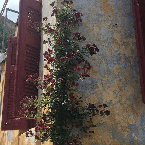 Photo #12989173