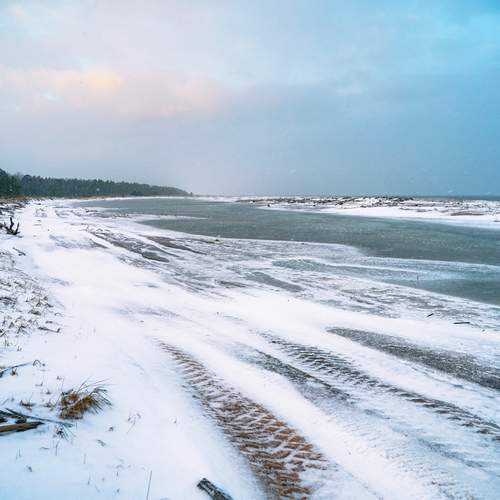 Photo #12989185