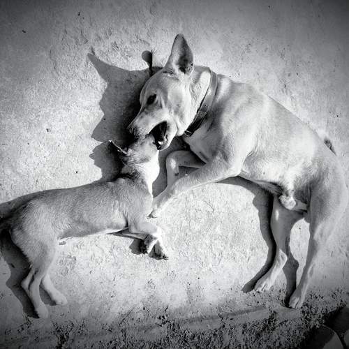 Photo #12989577