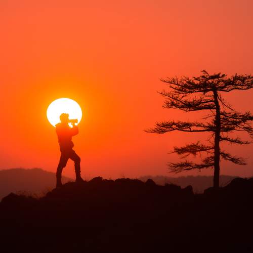 Photo #12989648