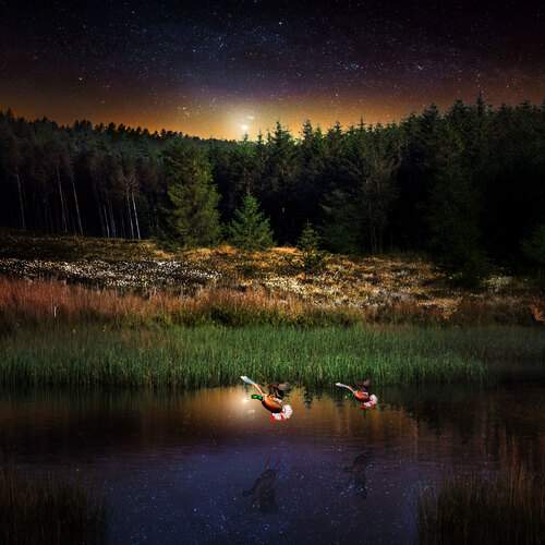 Night of the Lost Lake