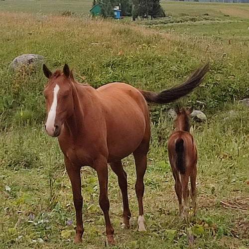 Photo #12989898