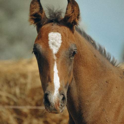 Фотография #12989954