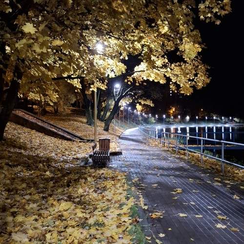 Photo #12990237