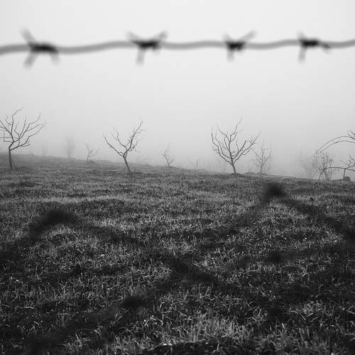 Photo #12990262