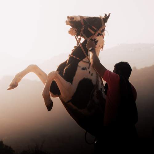 Photo #12990342