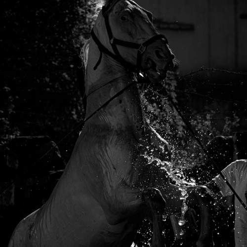 Photo #12990343