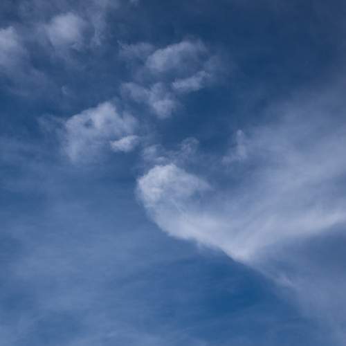 Photo #12990629