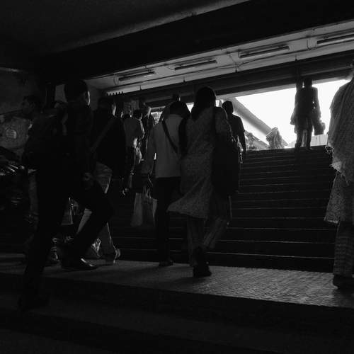 Photo #12990630