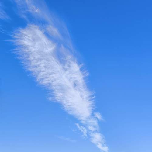 Photo #12990872
