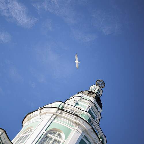Photo #12990961