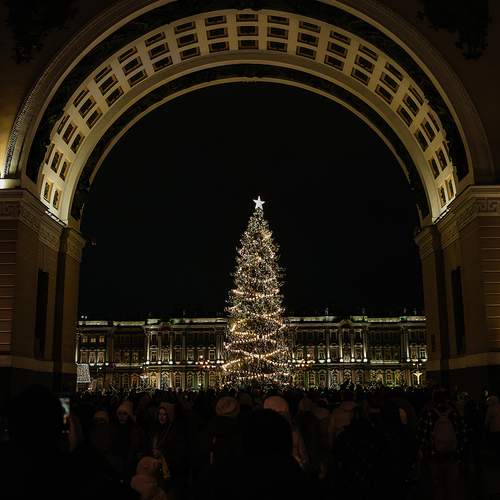 Photo #12991242