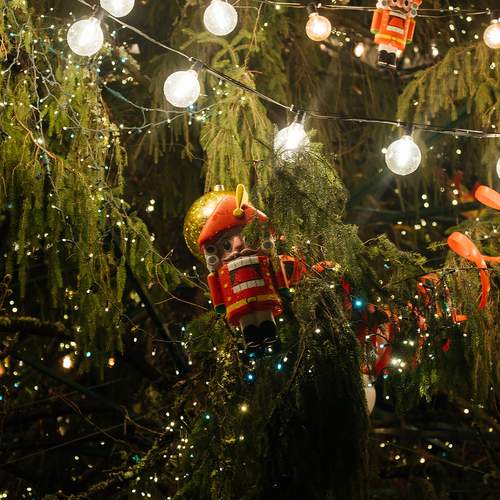 Photo #12991244