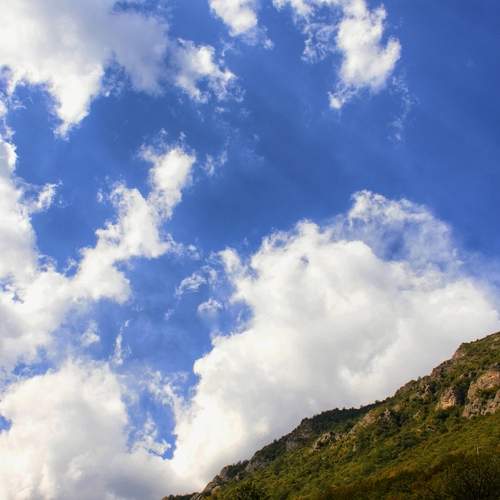 Photo #12991543