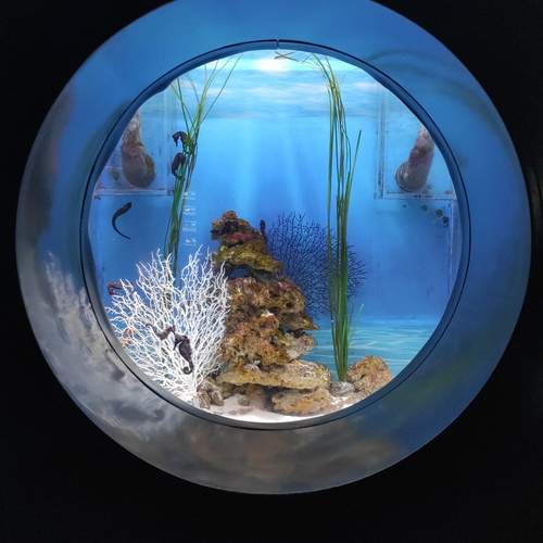 Photo #12991869
