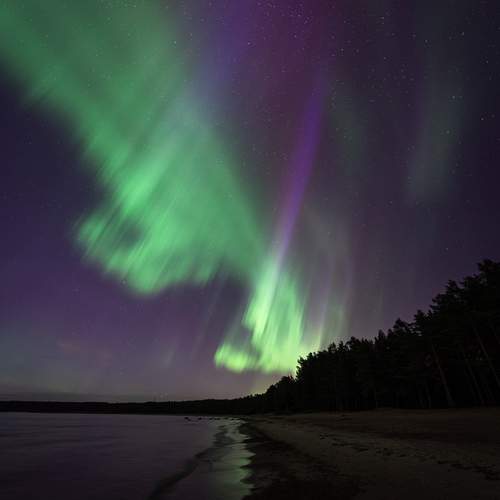 Photo #12991885