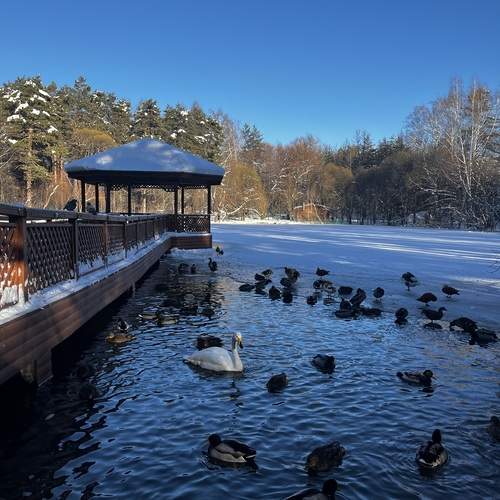 Photo #12991997