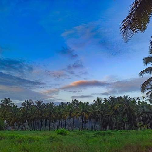 The Evening hours watching blue sky