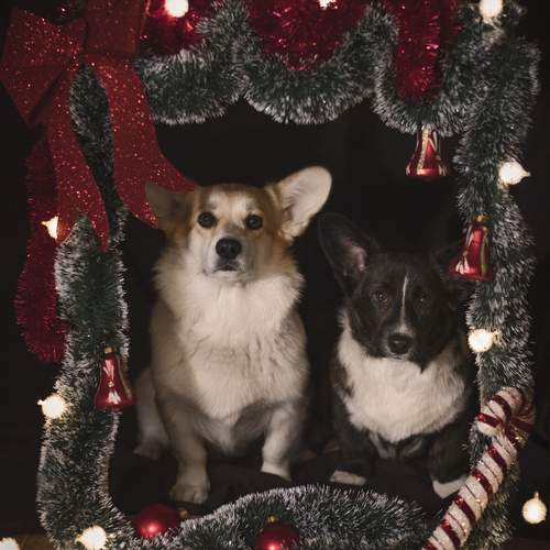 Photo #12992233