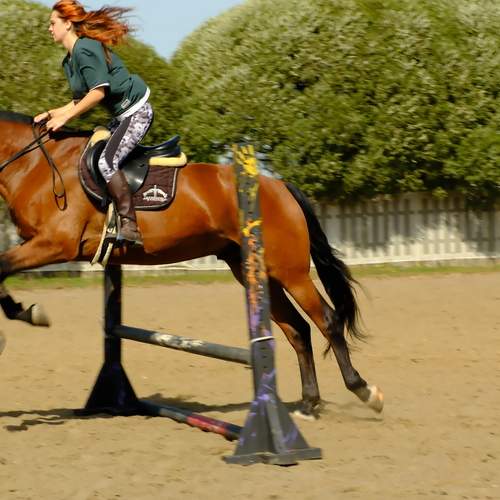 Photo #12992559