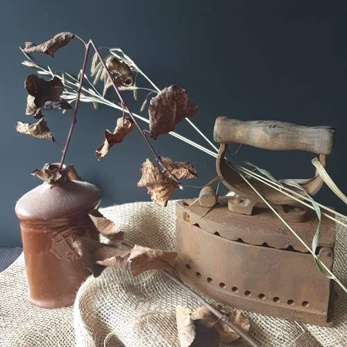 Photo #12992682