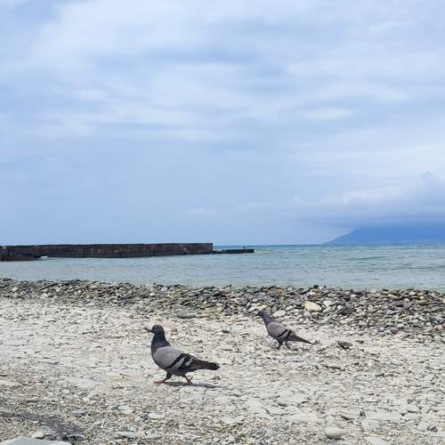 Photo #12992770