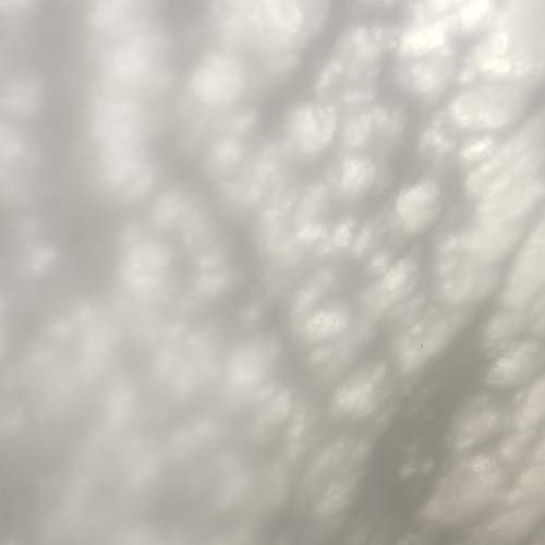 Photo #12992773