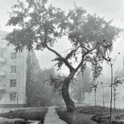 Photo #12992786