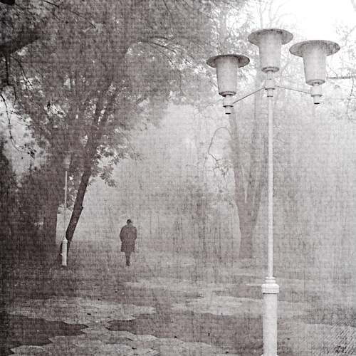 Photo #12992793