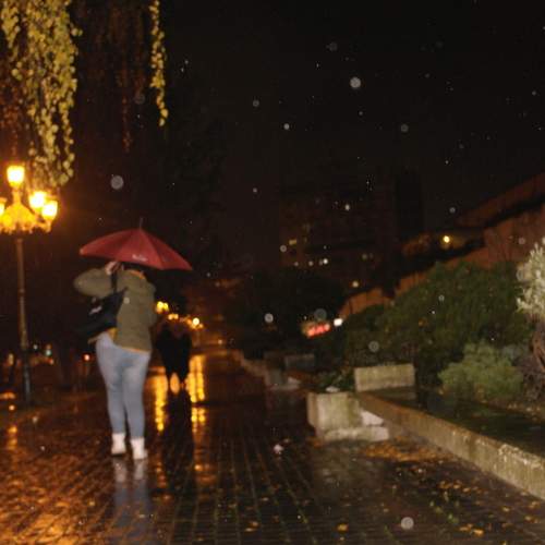 Photo #12992960