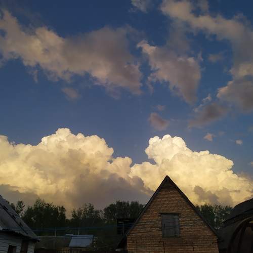 Photo #12993253