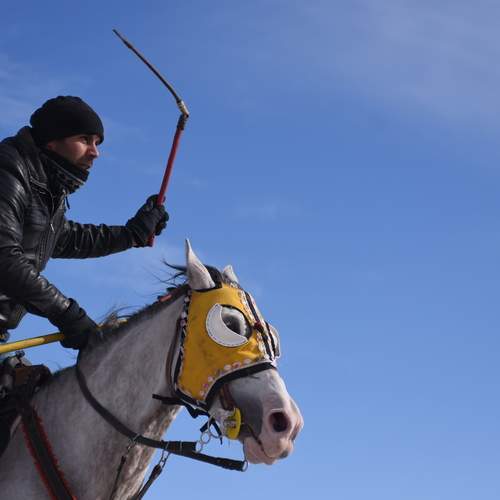 Photo #12993595